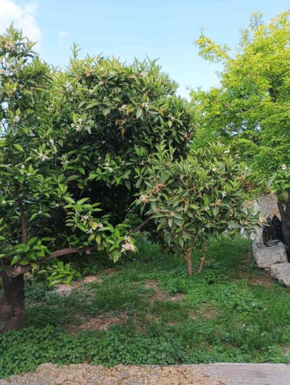 Aνεξάρτητη Παραδοσιακή Πέτρινη Κατοικία Korinth Exterior foto